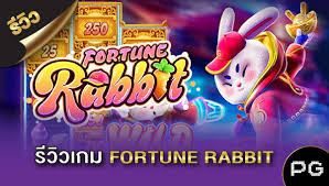 horarios que paga no fortune rabbit